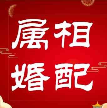 五行配对|属相婚配,属相配对,夫妻五行属相配对,八字婚配测算